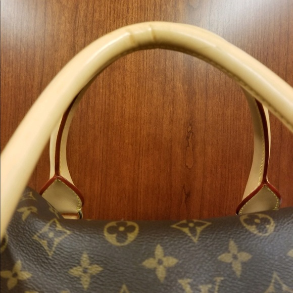 💯 Louis Vuitton Dog Carrier - Picture 8 of 8